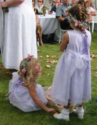 IMG_3524
