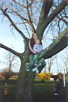Sue & Kettie playing in our new backyard on the big maple tree.