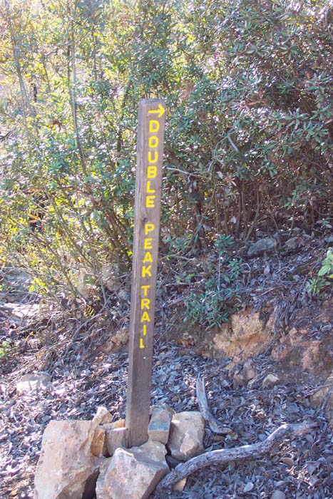 DCP_3840