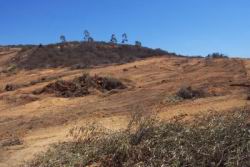 Panorama of valley... left to right