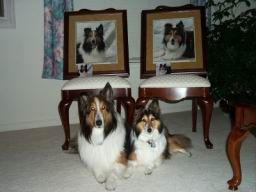 DogsCrossStitchFinal.jpg