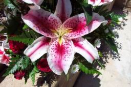 bdayflowers2.jpg