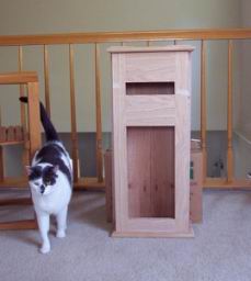 Checking out possibilities for the bookmatched back.
