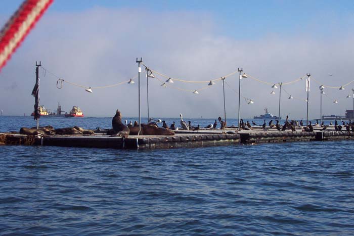 DCP_3409