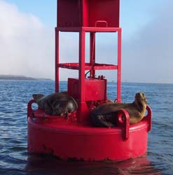 DCP_3425