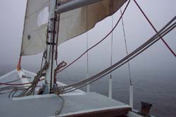 DCP_3427
