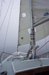 DCP_3430