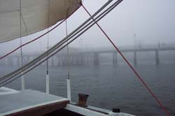 DCP_3433