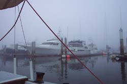 DCP_3438