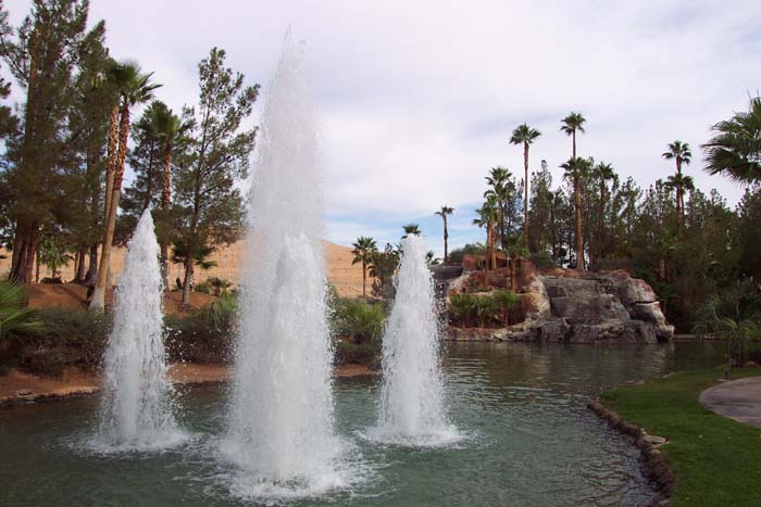 DCP_3450