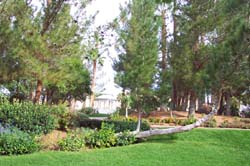 DCP_3448