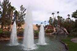 DCP_3450
