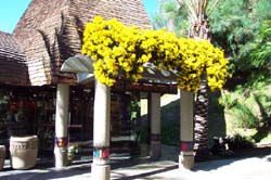 DCP_3775